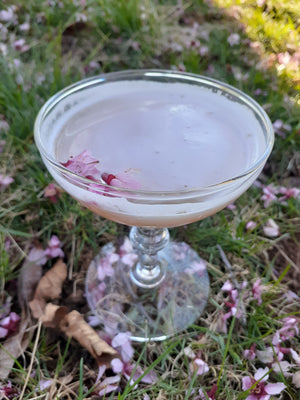 Sakura + Sake Fizz Cocktail