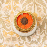 Rosy Rings HARVEST PUMPKIN Pressed Floral Candle 4.5oz