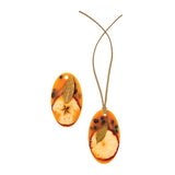 Rosy Rings SPICY APPLE Botanical Sachet (Set of 2)