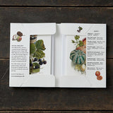 A TASTE OF AUTUMN - 8 Illustrated Cards with Recipes in Folder