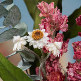 Eucalyptus & Pink Mini Bouquet - Natural Preserved Florals