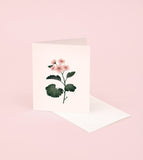 Botanical Scented Greeting Card | Geranium