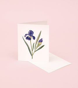 Botanical Scented Greeting Card | Iris